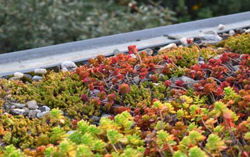 the cost of Kirby Fields green roof installation