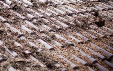 Kirby Fields roof cleaning companies